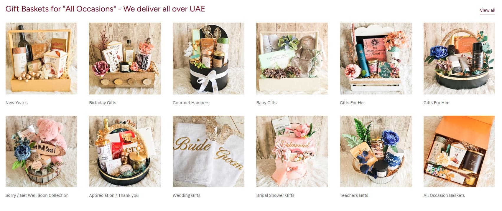 ecommerce growth marketing case study Shopify store homepage