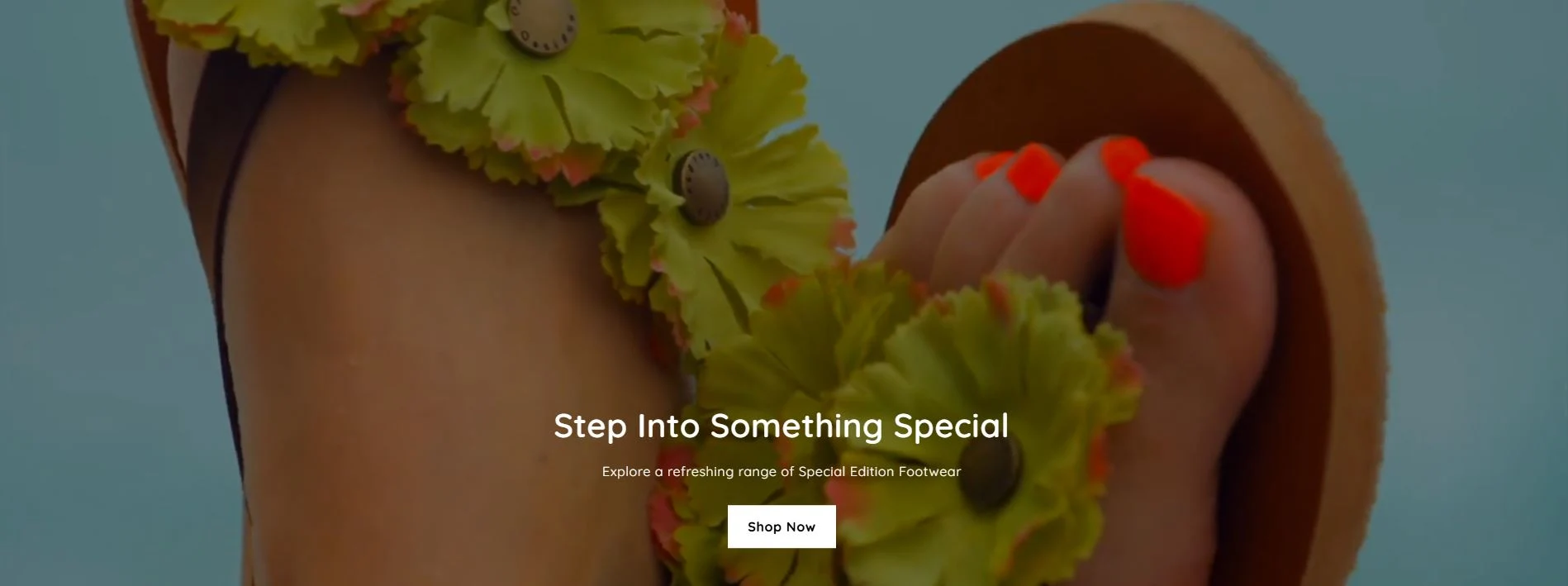 Shopify ecommerce website design homepage for women led brand